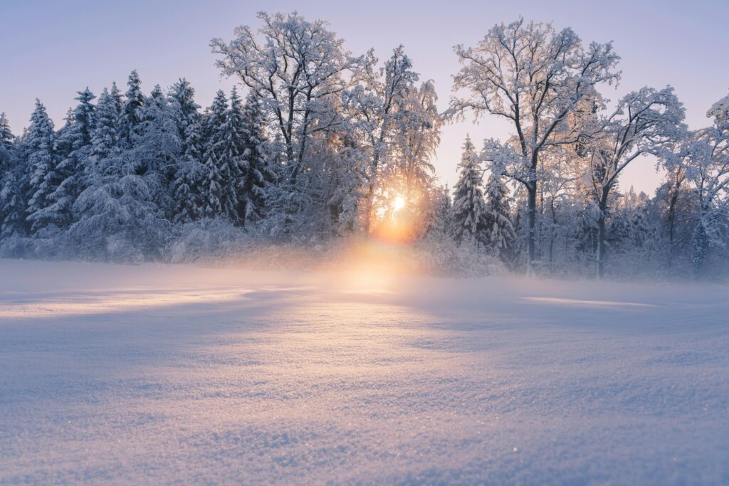 winter landscape with sun peeking through snow covered trees